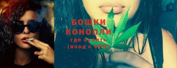 прущие грибы Костерёво