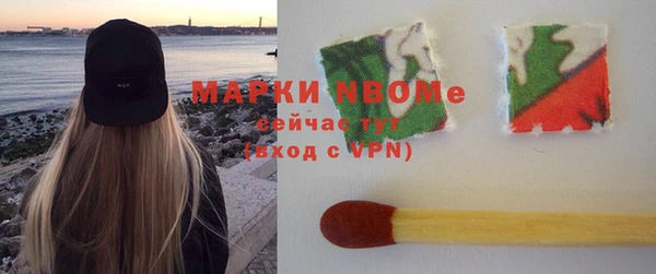 прущие грибы Костерёво