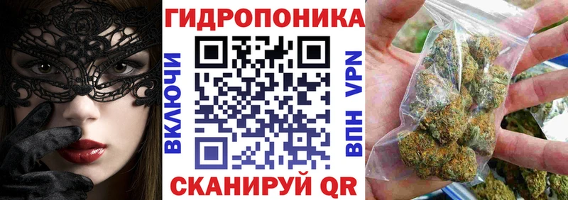 Купить  Волхов  Бошки Шишки Bruce Banner 